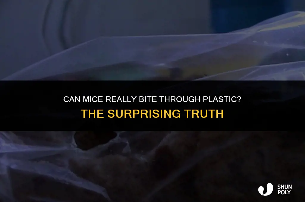 can mice bite through plastic