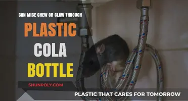Can Mice Chew Through Plastic Cola Bottles? Facts Revealed