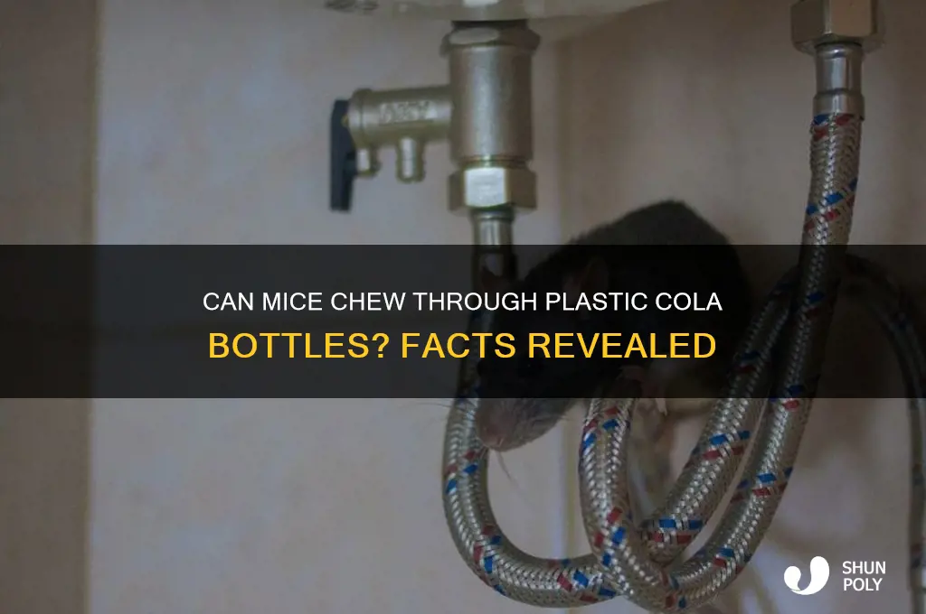can mice chew or claw through plastic cola bottle