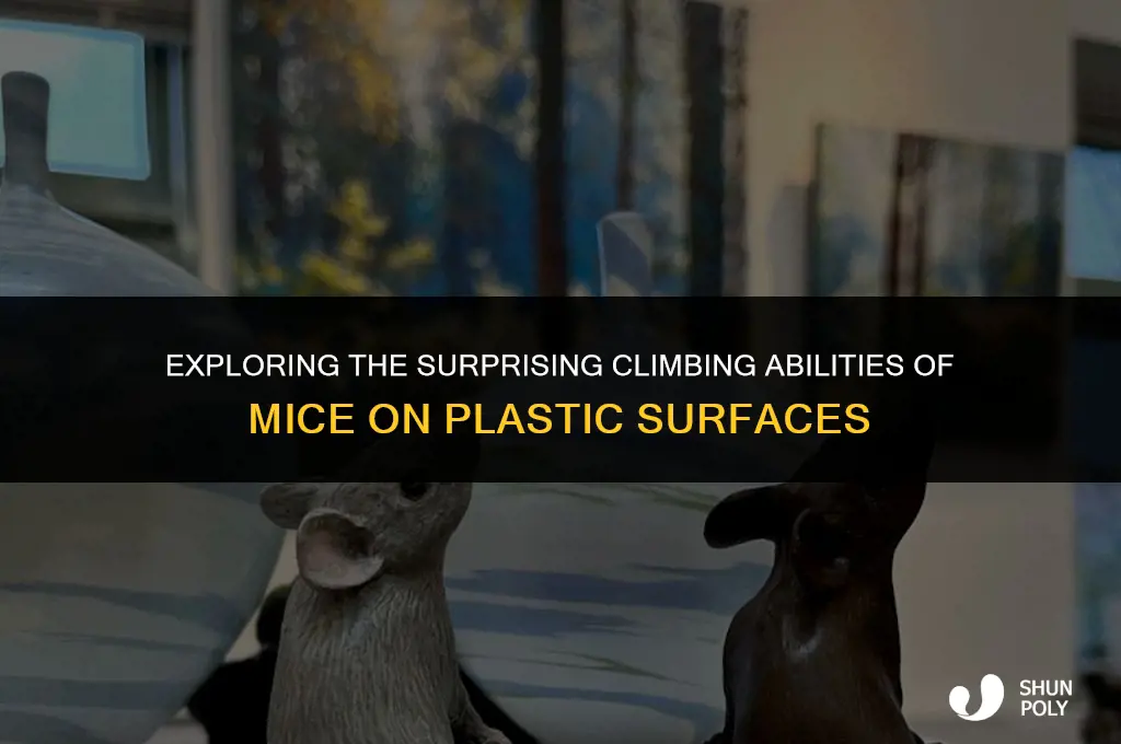 can mice climb plastic
