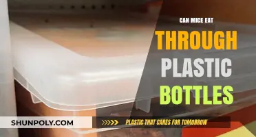Can Mice Chew Through Plastic Bottles? Facts and Prevention Tips