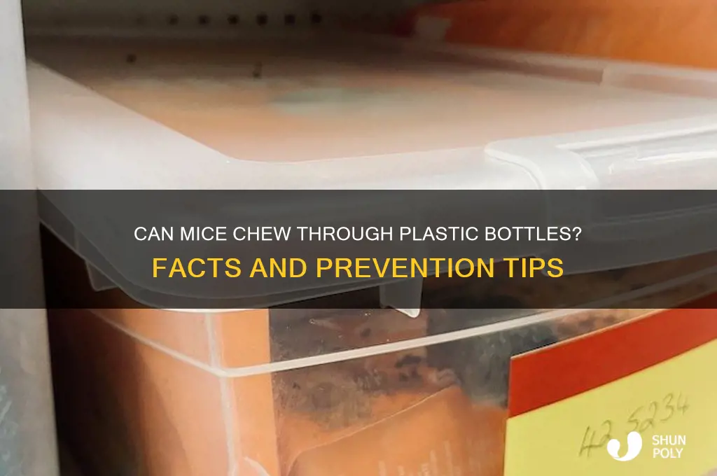 can mice eat through plastic bottles