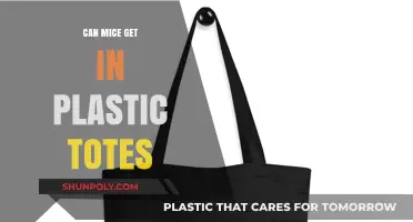 Can Mice Get In Plastic Totes? Facts You Need To Know