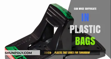 Plastic Bags: A Deadly Trap for Mice