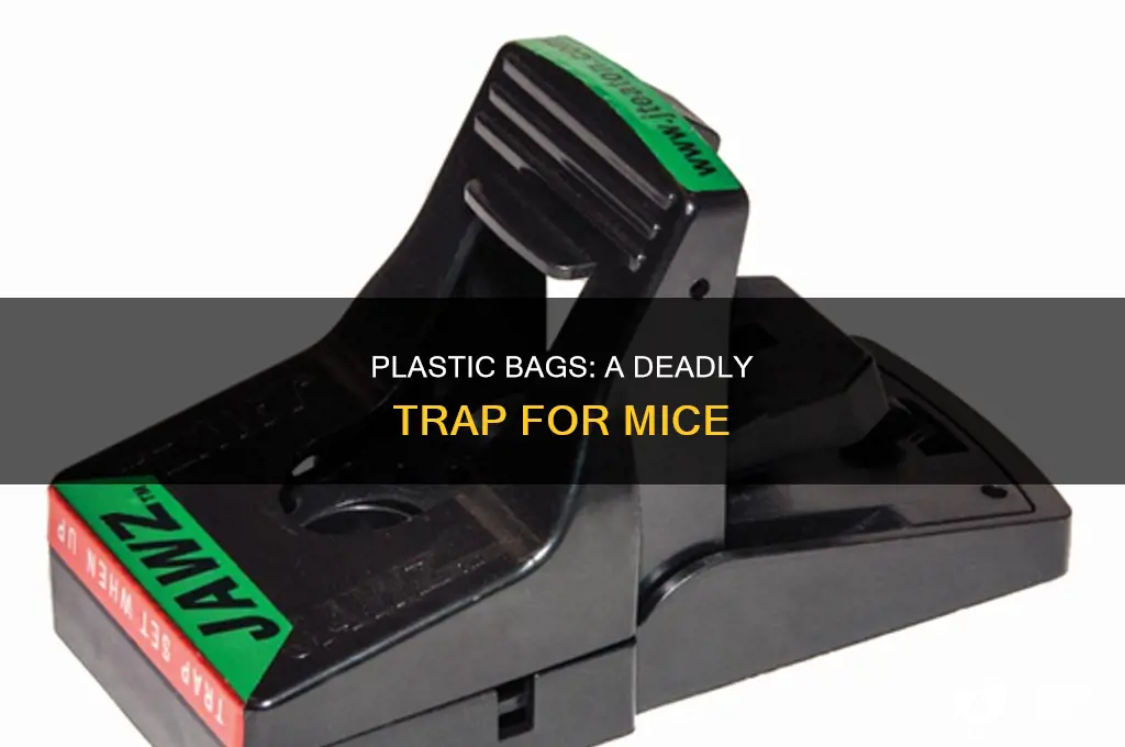 can mice suffocate in plastic bags