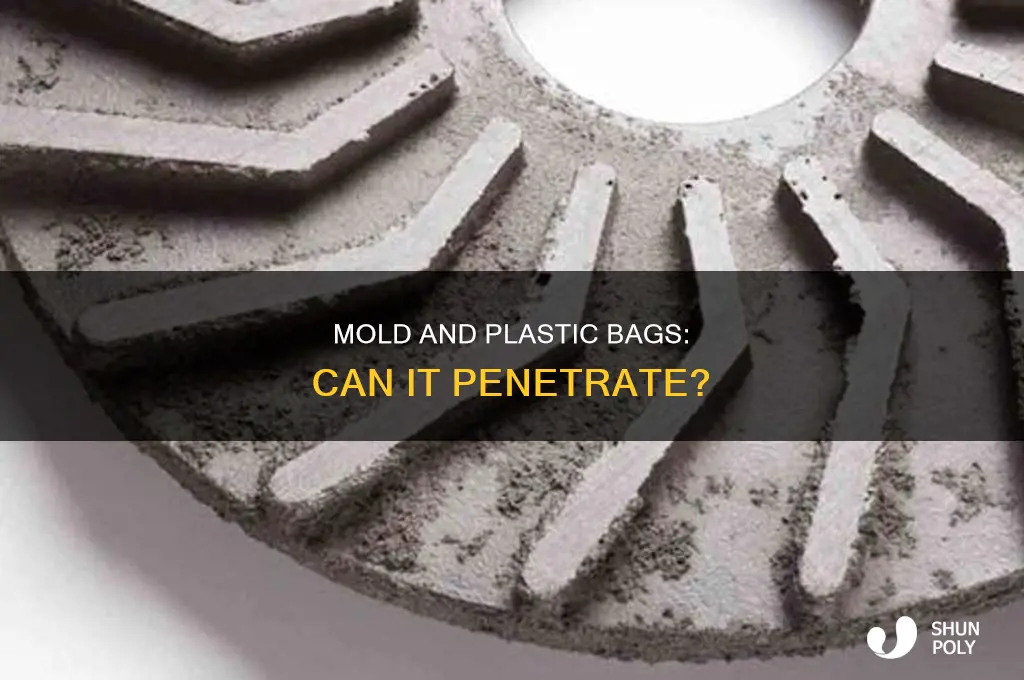 can mold get through plastic bag