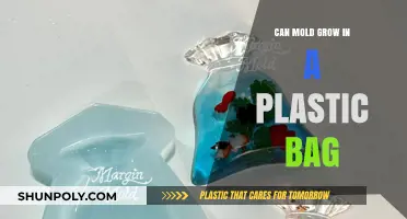 Mold in Plastic Bags: Is It Possible?