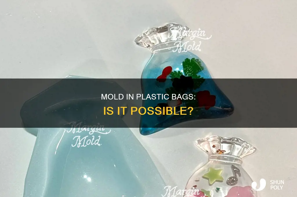 can mold grow in a plastic bag