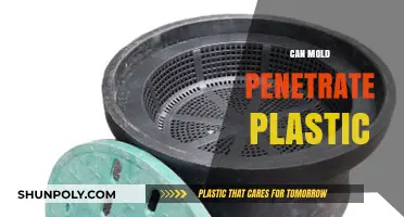 Unveiling the Truth: Can Mold Really Penetrate Plastic?