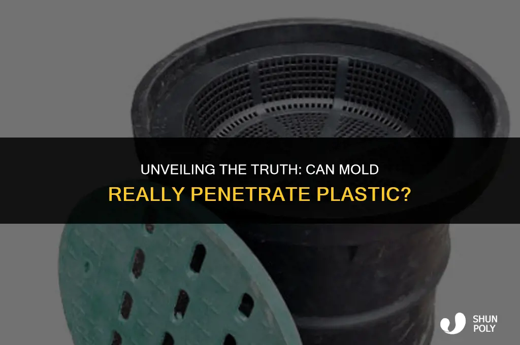can mold penetrate plastic