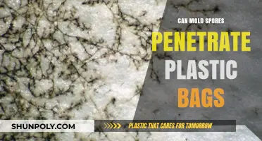 Mold Spores: Can Plastic Bags Stop Them?