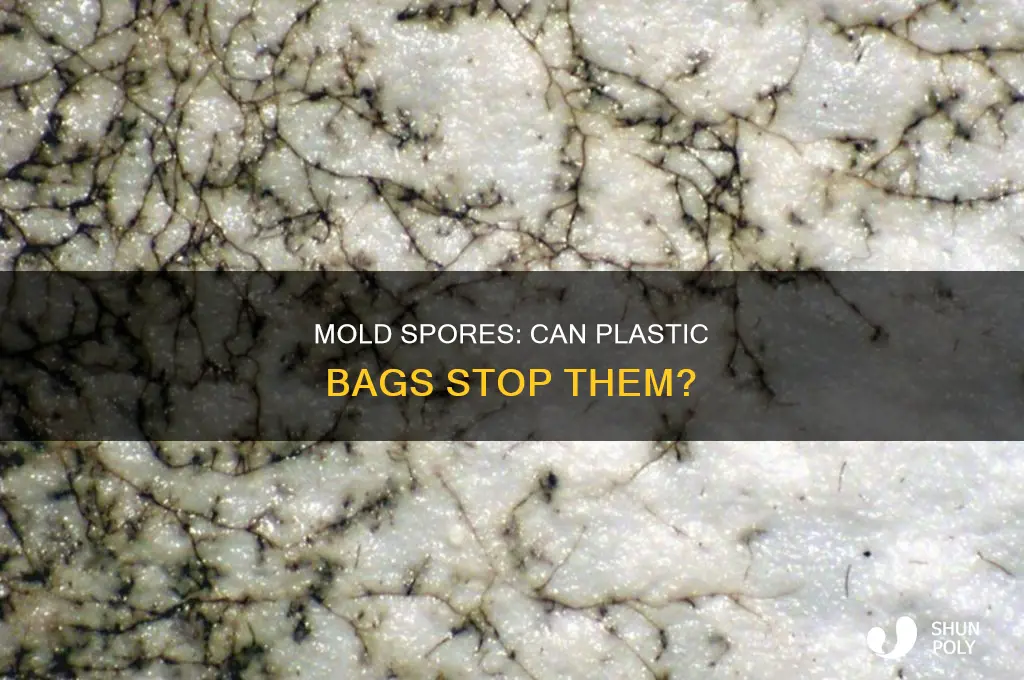 can mold spores penetrate plastic bags