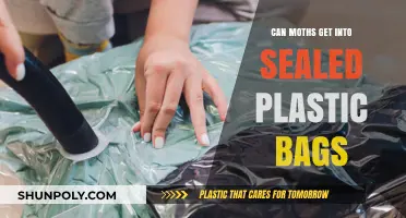 Moth Invasion: Are Sealed Plastic Bags Safe?