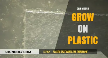Can Mould Grow on Plastic: Facts and Prevention Tips