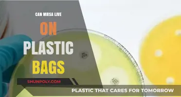 How Long Can MRSA Survive on Plastic Bags?