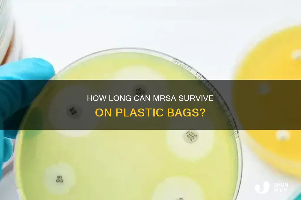 can mrsa live on plastic bags