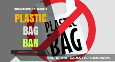 Plastic Bag Ban: Municipal Powers and Legalities