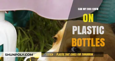 Is It Safe for Dogs to Chew on Plastic Bottles?