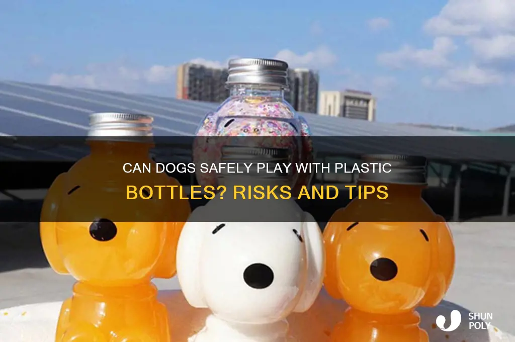 can my dog play with plastic bottles