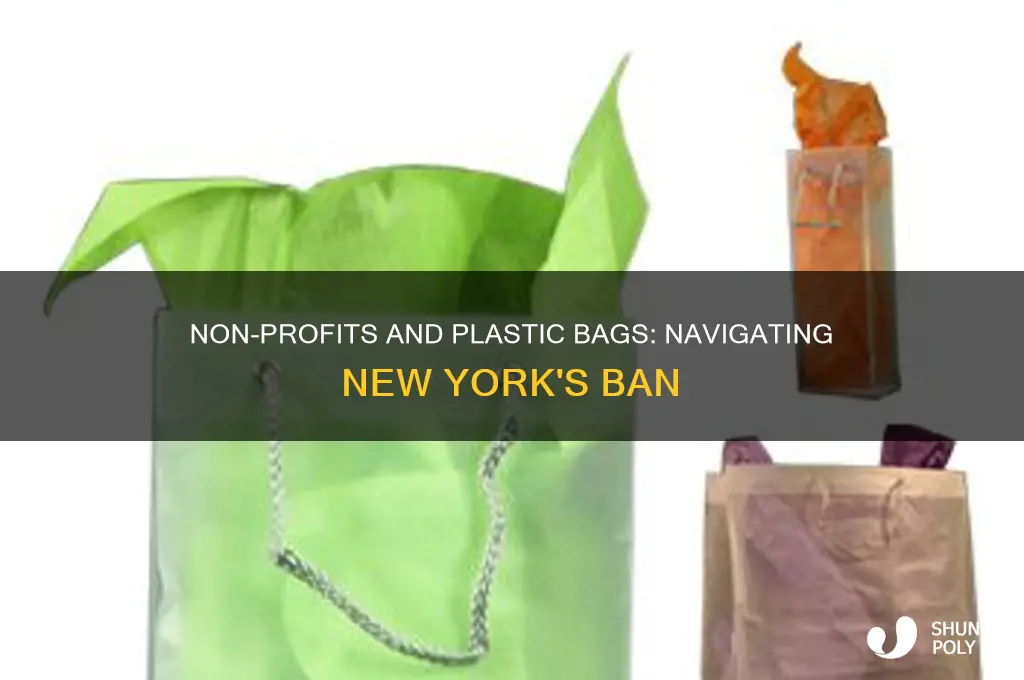 can non-profits use plastic bags in ny