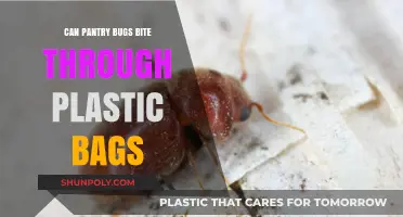 Pantry Bugs: Plastic Bag Protection?