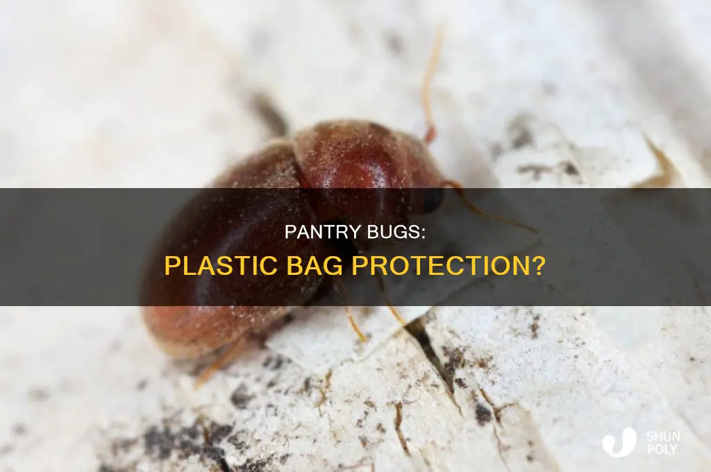 can pantry bugs bite through plastic bags