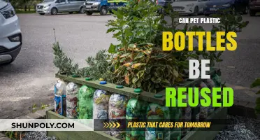 Reusing Pet Plastic Bottles: Safety, Sustainability, and Practical Tips