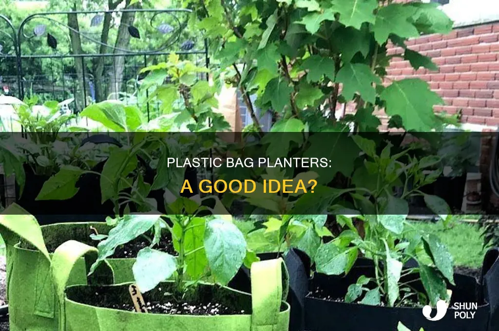 can plants be potted in plastic bag
