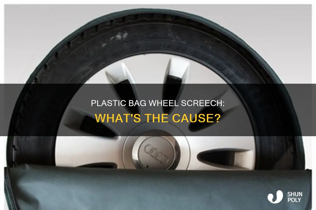 can plastic bag caught in wheel cause screeching noise