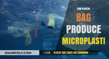 Plastic Bags: Microplastics' Biggest Source?