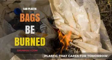 Burning Plastic Bags: What's the Harm?