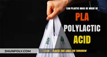 PLA Plastic Bags: A Sustainable Future?