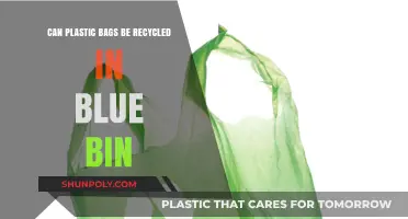 Recycling Plastic Bags: Blue Bin Do's and Don'ts