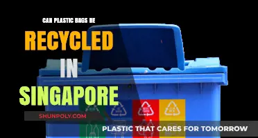 Recycling Plastic Bags: Singapore's Green Future