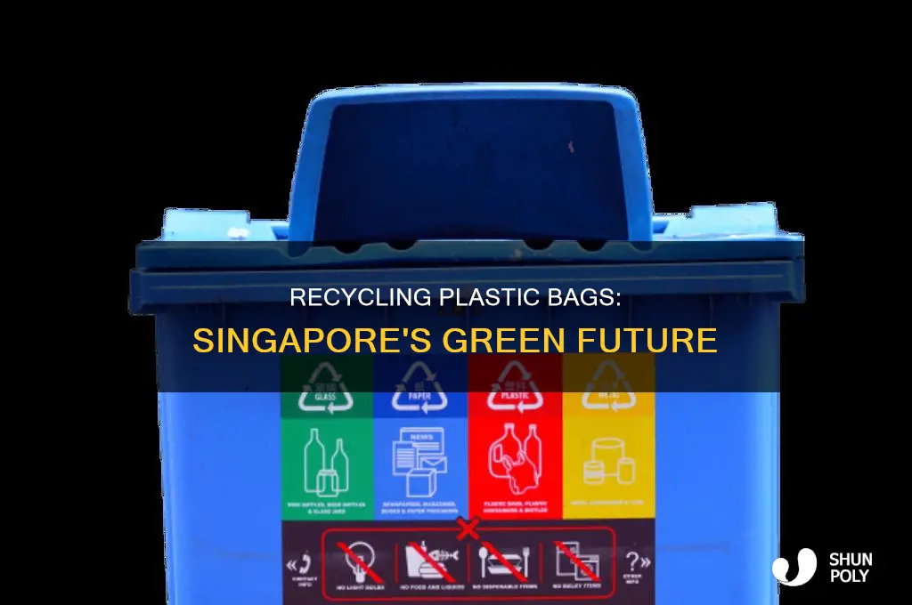 can plastic bags be recycled in singapore