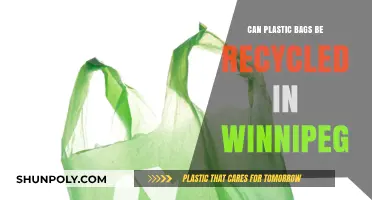Recycling Plastic Bags: Winnipeg's Guide