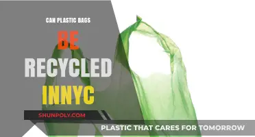 Recycling Plastic Bags in NYC: What's the Deal?