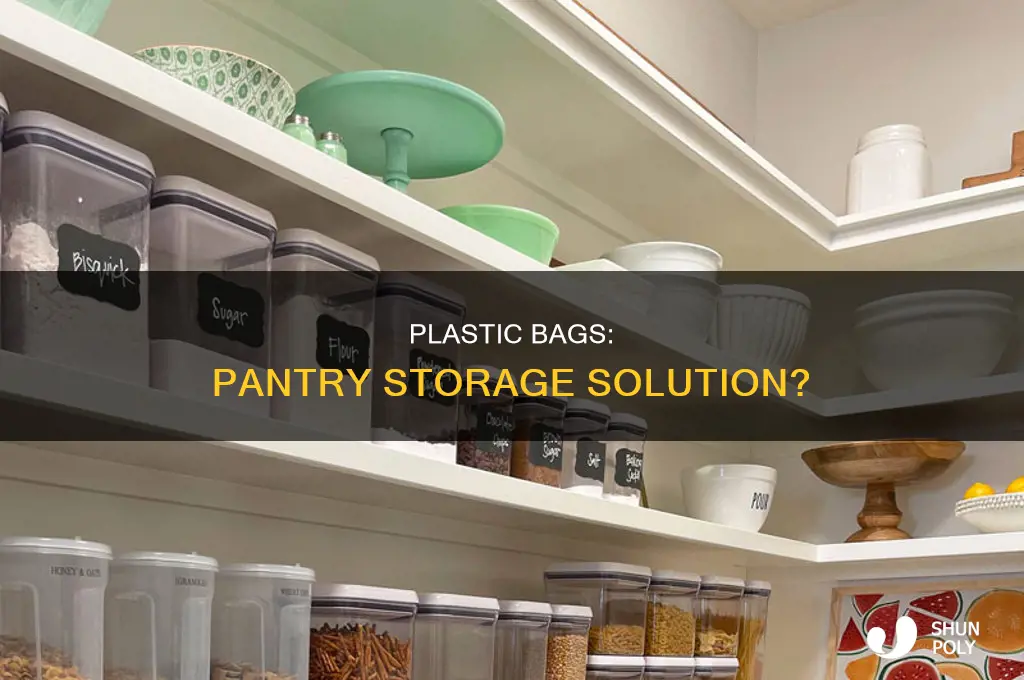 can plastic bags be used for pantry storage containers