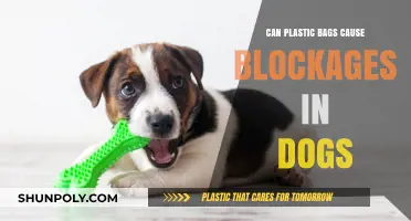 Plastic Bags: A Choking Hazard for Dogs