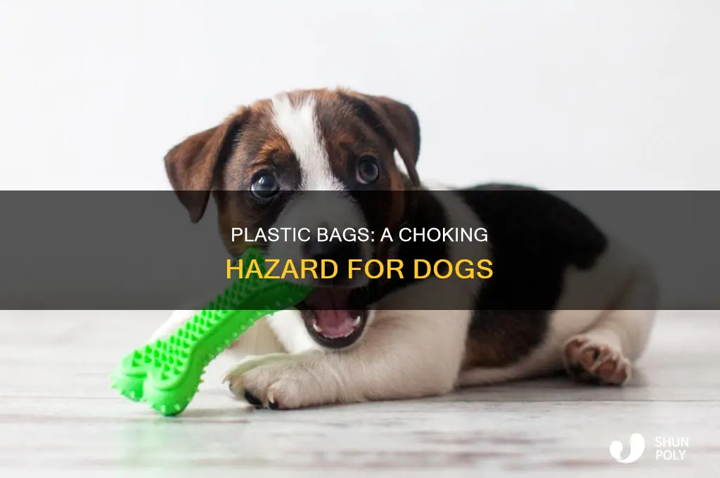 can plastic bags cause blockages in dogs