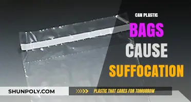 Plastic Bags: A Suffocation Hazard?
