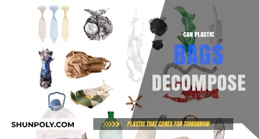 Plastic Bags: Decomposition and Environmental Impact