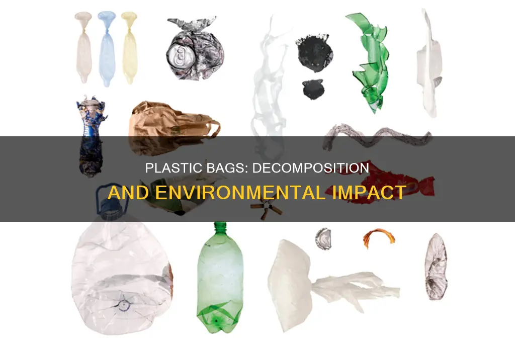can plastic bags decompose