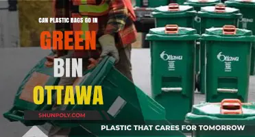 Green Bin Confusion: Plastic Bags in Ottawa's Bins?