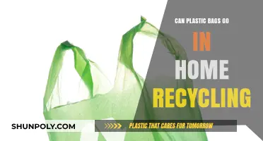 How to Recycle Plastic Bags at Home?