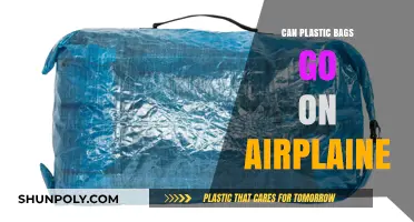 Air Travel Packing: Plastic Bags Allowed?