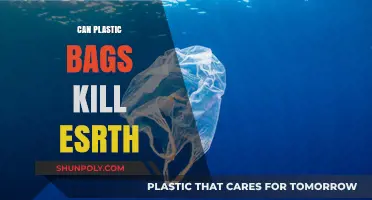 Plastic Bags: A Deadly Threat to Our Planet