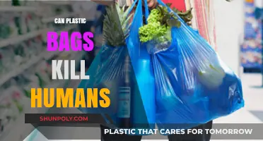 Plastic Bags: A Human Health Hazard?