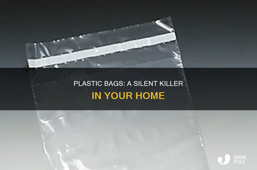 can plastic bags suffocate you