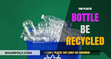 Recycling Plastic Bottles: Myths, Facts, and Sustainable Practices Explained